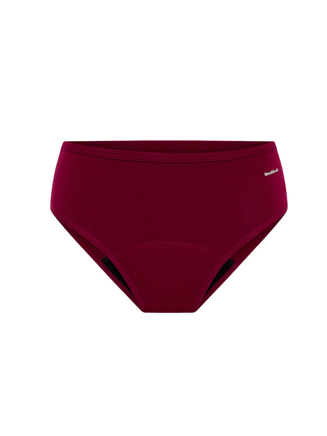 Basic Mid-Rise Brief 3 Pack Moderate Italian Clay/Moody Blue/Beet Red